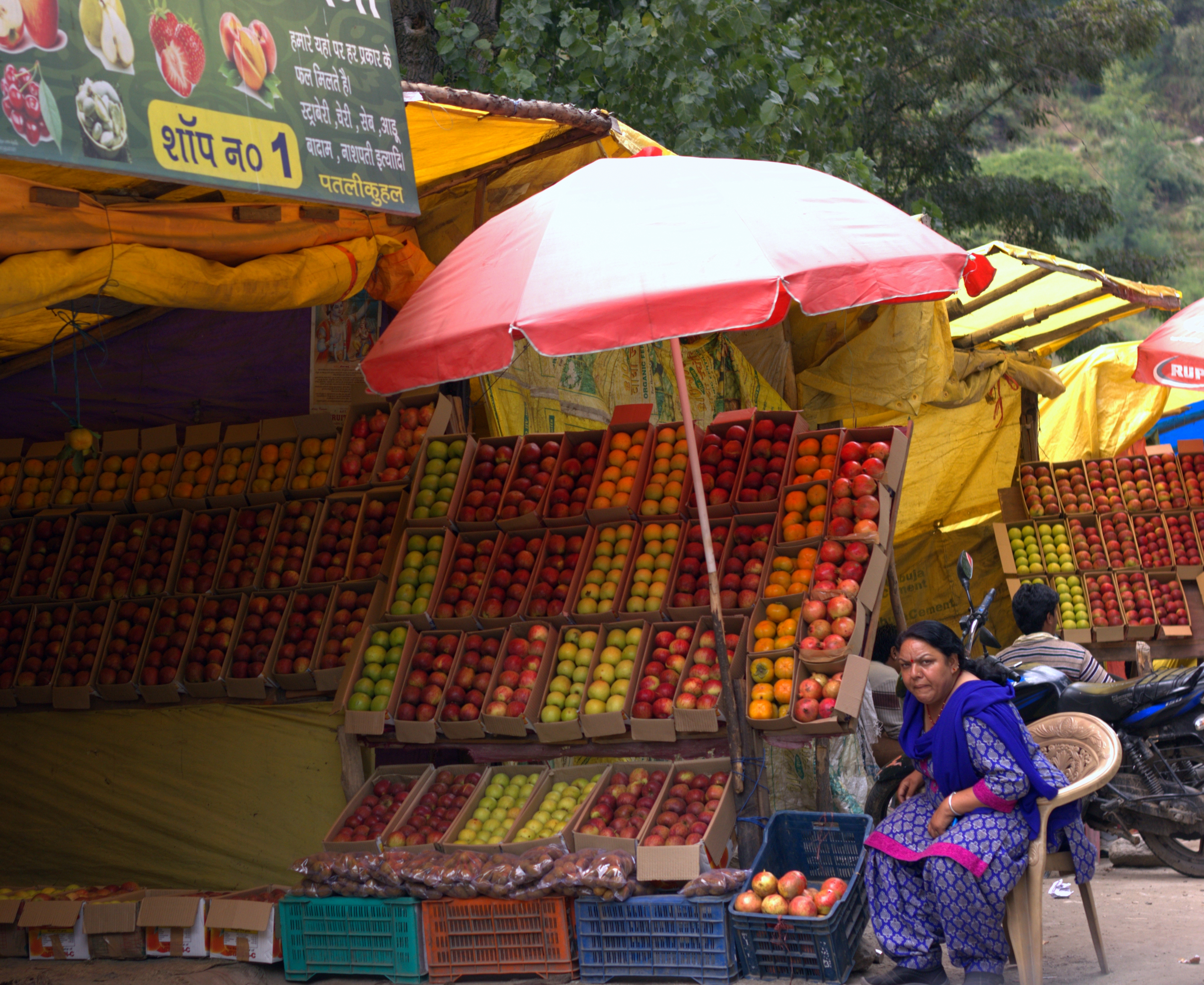 Slow traveling in Manali