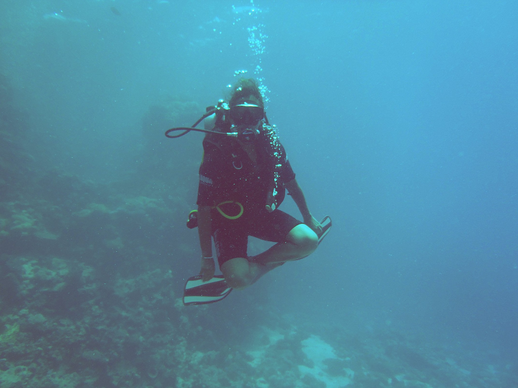 diving in marsa alam