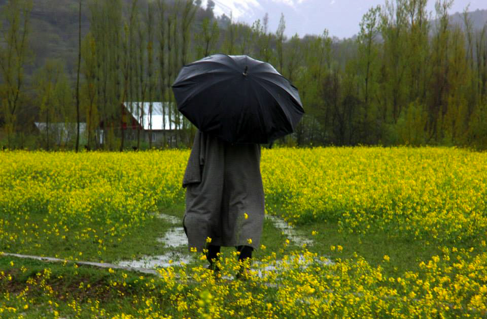 Kokkernag in Kashmir in spring